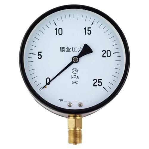 YE100 150 membrane box pressure gauge
