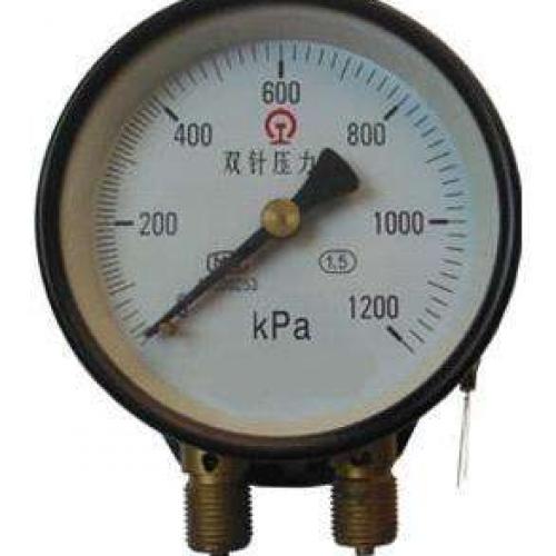 YZS 102 Double Needle Pressure Gauge